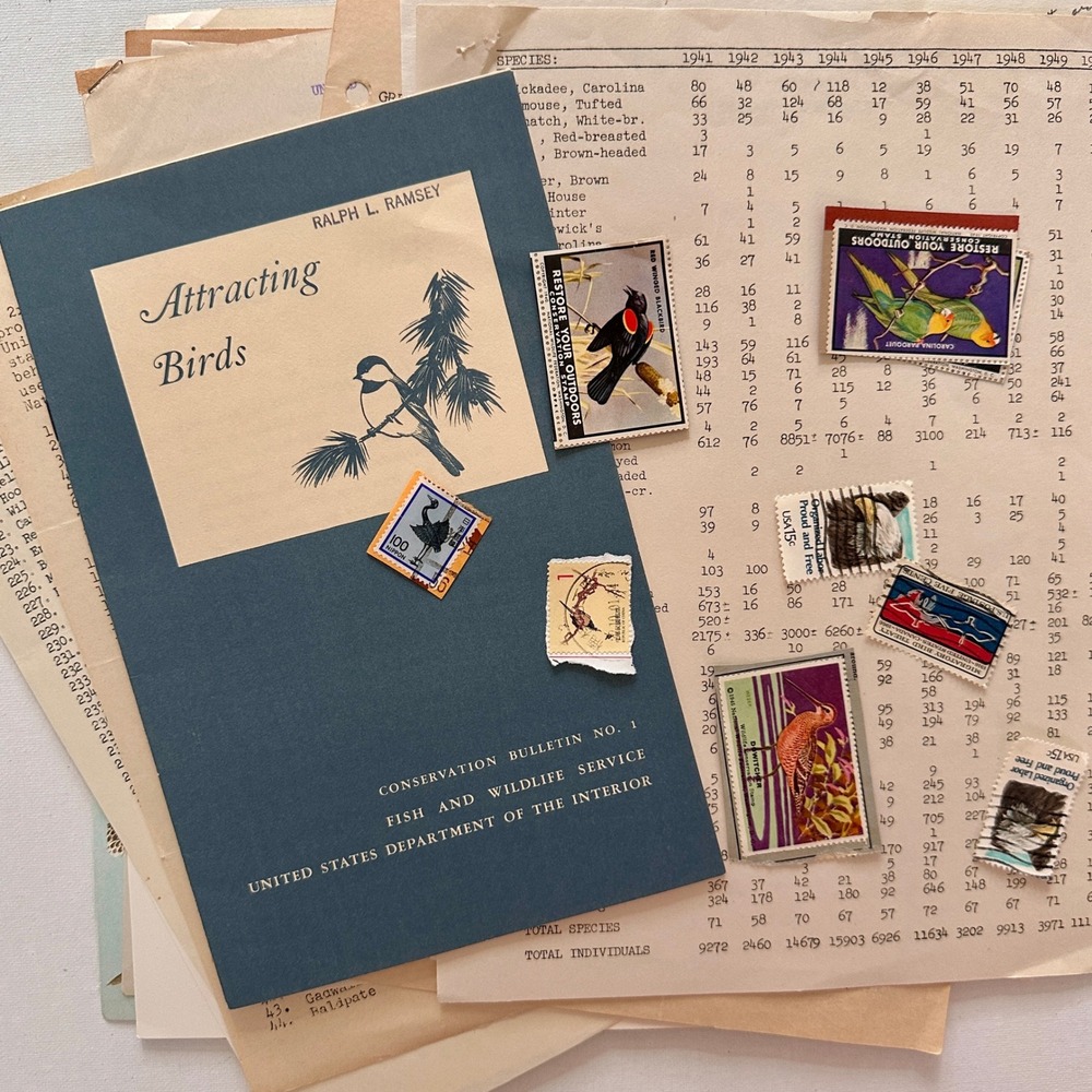 All Things Birds - Vintage Ephemeral Pack of 40 Pieces: stamps, postcard, pages - Picture 7 of 9
